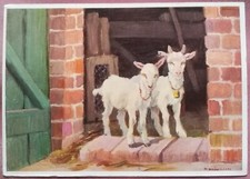 CARTOLINA ILLUSTRATA CAMPAGNA