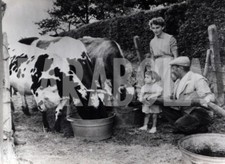 Foto vintage abbeveratoio