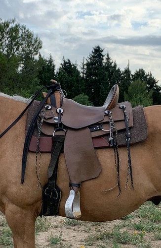 Sella western guido netzer - sella,