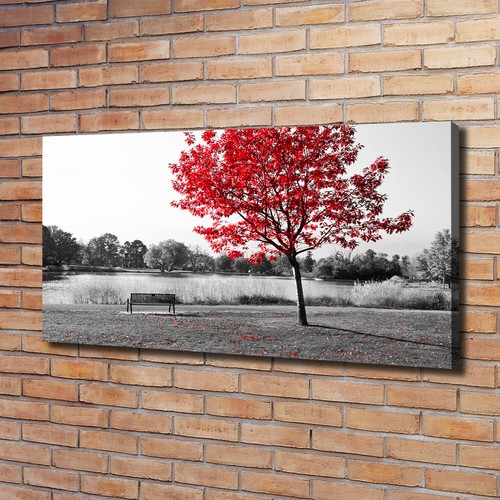 Quadro tela stampa - tela,
