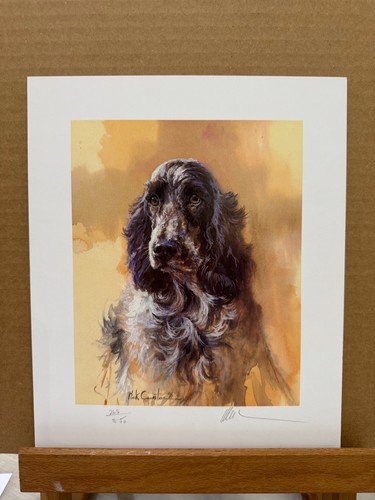 Mick cawston blue roan - cawston,