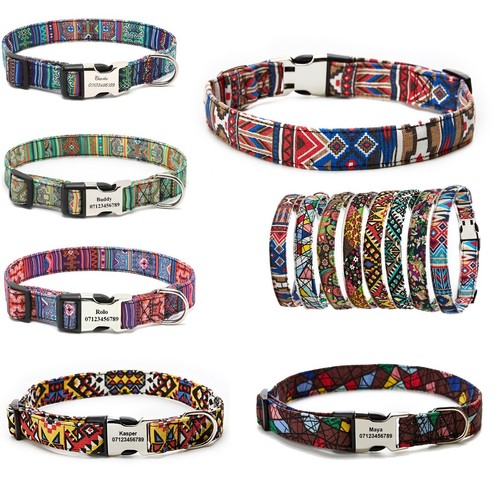 Collare per cani - collare,