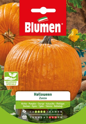 Blumen semi zucca halloween