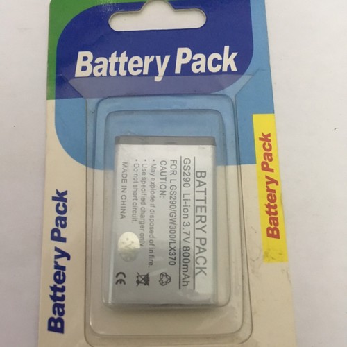 Batterie per gs290 gw300 - batterie,