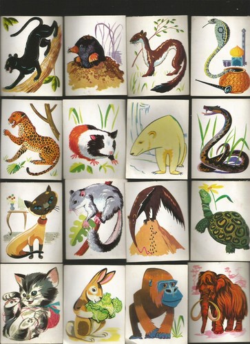 Lotto figurine animali - ,