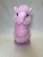 Peluche interamericano rosa