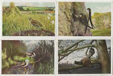 15/1187 QUADRO DA COLLEZIONE