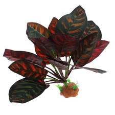  Decorazioni Terrario Piantine