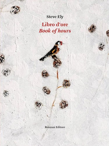 Libro ore ely steve - libro,
