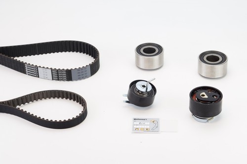 Kit cinghia distribuzione - cinghia,