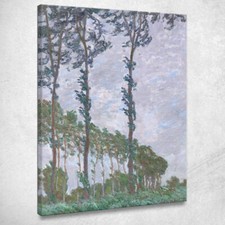 Serie Effetto Vento Dei Pioppi