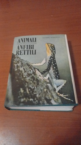Anfibi rettili giuseppe - anfibi, e