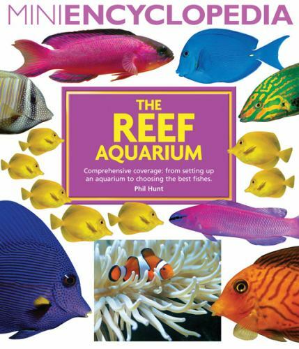 Reef aquarium mini - aquarium, (mini