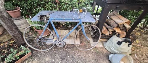 Bici corsa vintage eroica - da,