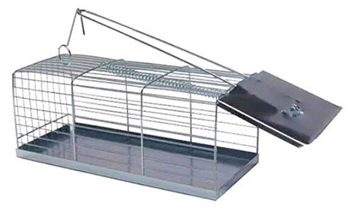 Trappola cattura topi ratti