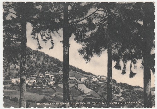 Baragazza castiglione dei - baragazza,