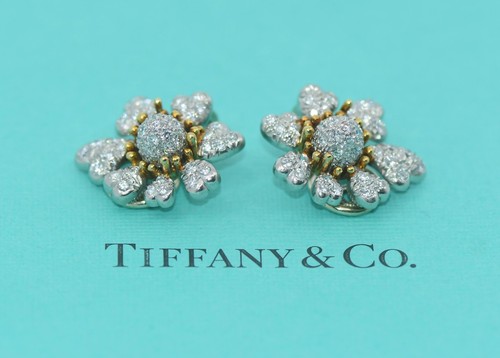 Orecchini tiffany co - tiffany, &
