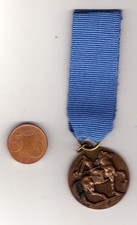MEDAGLIA DEL VENTENNIO"ADUNATA