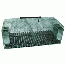 gabbia fattrice per conigli due posti cm 100X50X34h allevamento coniglio