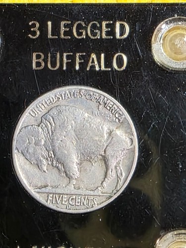 1937 gambe di bufalo - di,