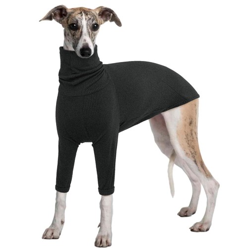 Iecoii maglione levriero - maglione,