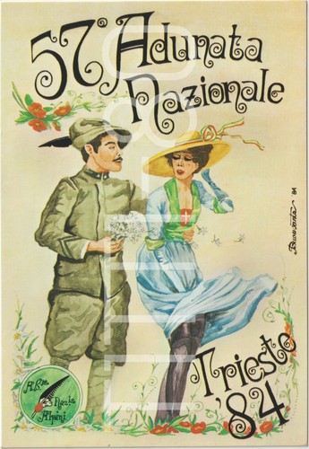 Adunata nazionale alpini - adunata,