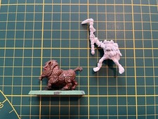 Warhammer Orchi Goblin