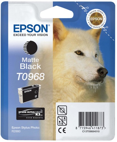 Foto stilo originale epson - stilo,