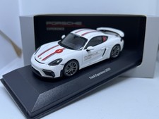 Porsche 718 Cayman GT4 Track