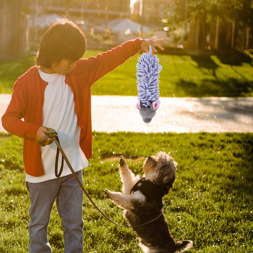 Peluche cane rimorchiatore