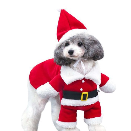 Costume babbo natale - costume, di