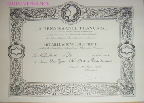 Dipl234 diploma la rinascita - dipl234,
