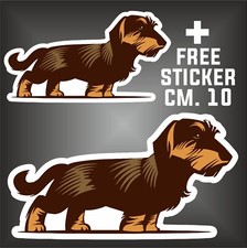 adesivo bassotto tedesco cane