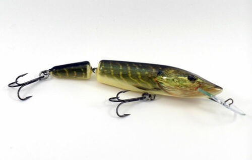 Salmo pike jointedsnodato - salmo,