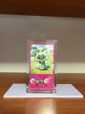 Teca Case Plexiglass