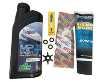KIT TAGLIANDO 4HP SUZUKI DF4 4