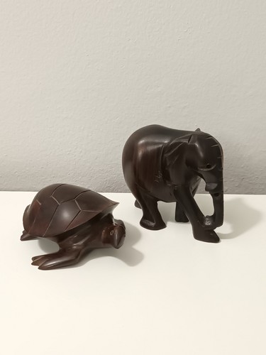 Coppia elefante tartaruga - tartaruga, in