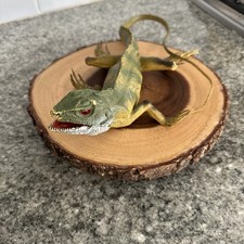 Giocattolo vintage AAA Iguana