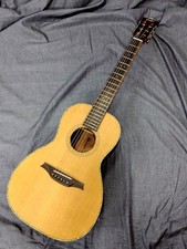 Chitarra Elettrica Acustica