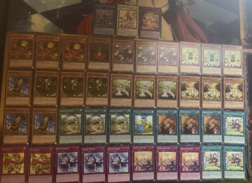 Mazzo aromi yugioh con - con, extra