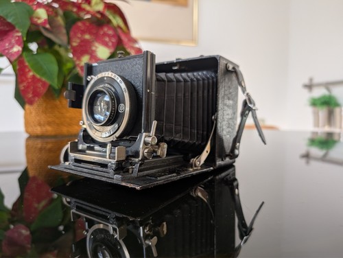 Rare krauss actis - rare,