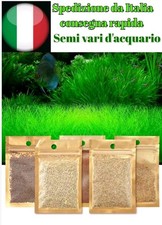 semi prato acquario facile