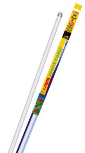 Neon sera plant color - neon,