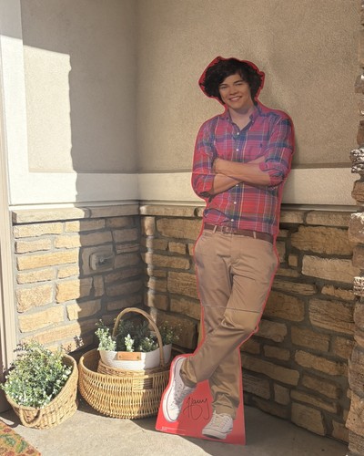 One direction harry styles - direction,