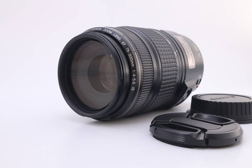 Canon zoom 300 f4 5 - canon, mm