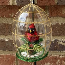 Cardinale In Gabbia Vetro