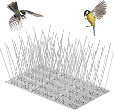 Dissuasori per Piccioni 3