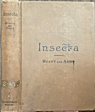 Rare 1893  INSECTA - Science