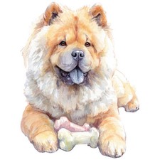3 adesivi Chow Chow adesivi