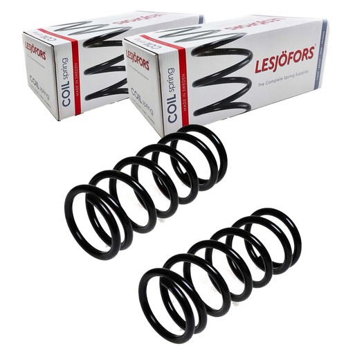 Lesjöfors molle - 2x,